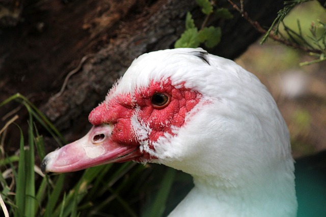 闻头条上 闻头条上