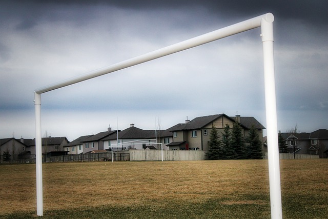 他的成就無 他的成就無