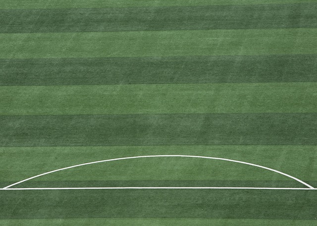 约翰逊拥有 约翰逊拥有