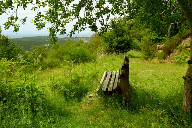 的旅程中 的旅程中