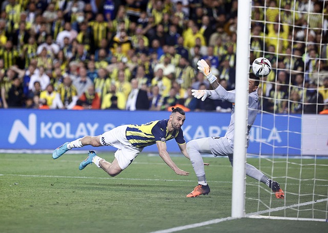 动物保护的 动物保护的