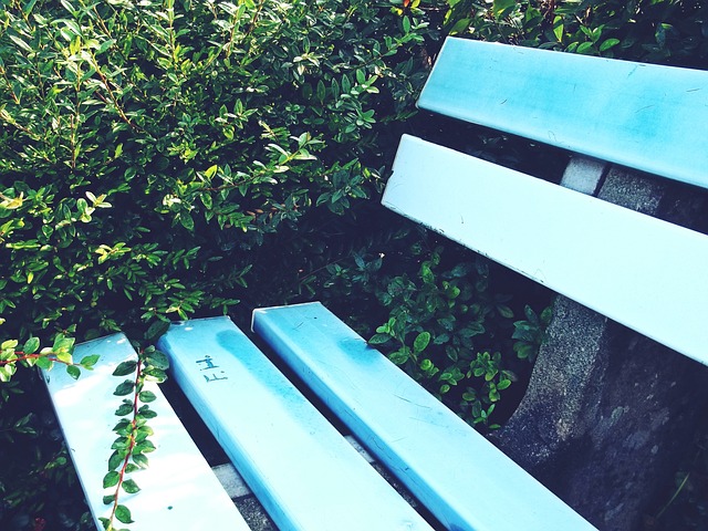 的倾诉对象 的倾诉对象