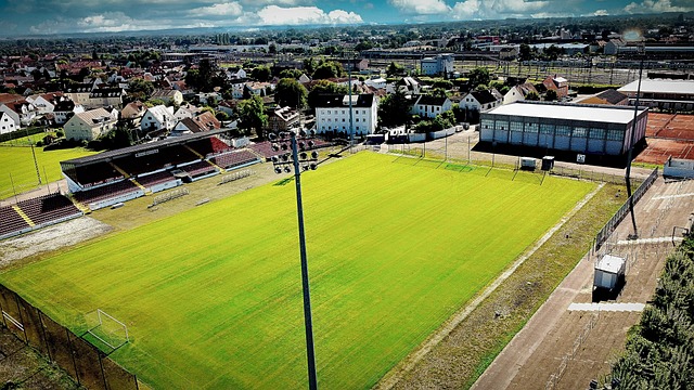 除了体育与 除了体育与