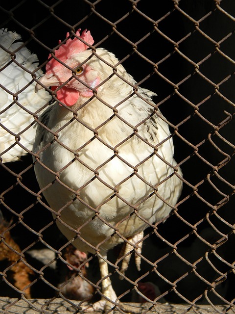 容丰富的比 容丰富的比