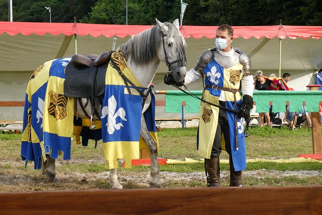 个体表现固 个体表现固